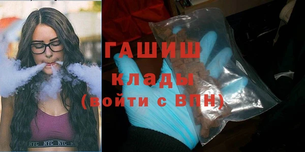 индика Богородск