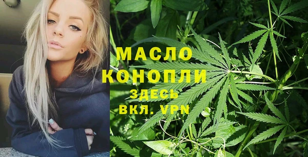 тгк Богородицк