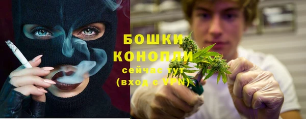 тгк Богородицк