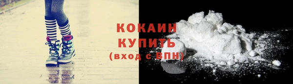 индика Богородск