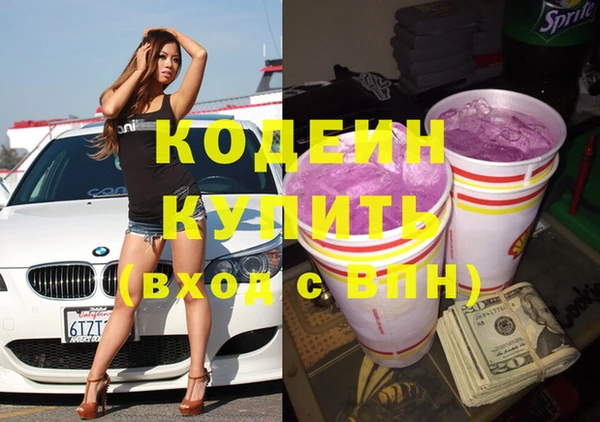 индика Богородск