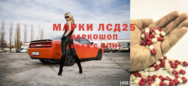 индика Богородск