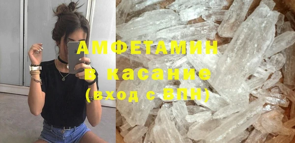 индика Богородск