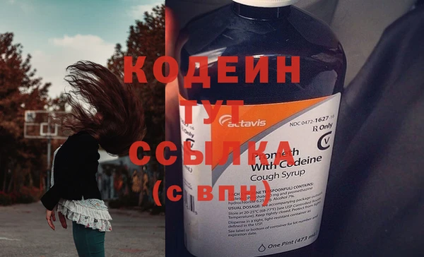 индика Богородск