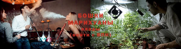 индика Богородск