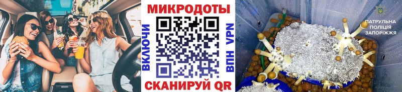 Псилоцибиновые грибы GOLDEN TEACHER  купить наркотик  omg сайт  Плёс 